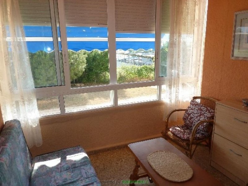 Denia Nettes Studio in Las Marinas - strandnah und sonnig Wohnung kaufen