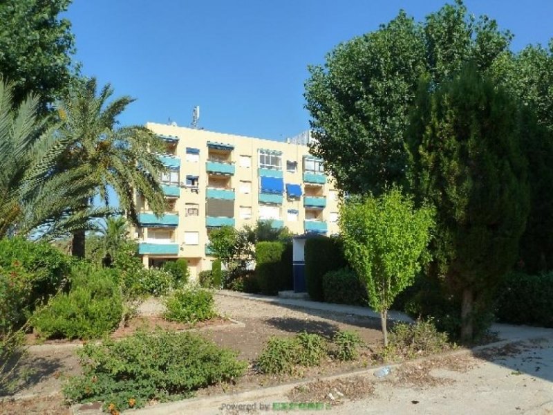 Denia Nettes Studio in Las Marinas - strandnah und sonnig Wohnung kaufen