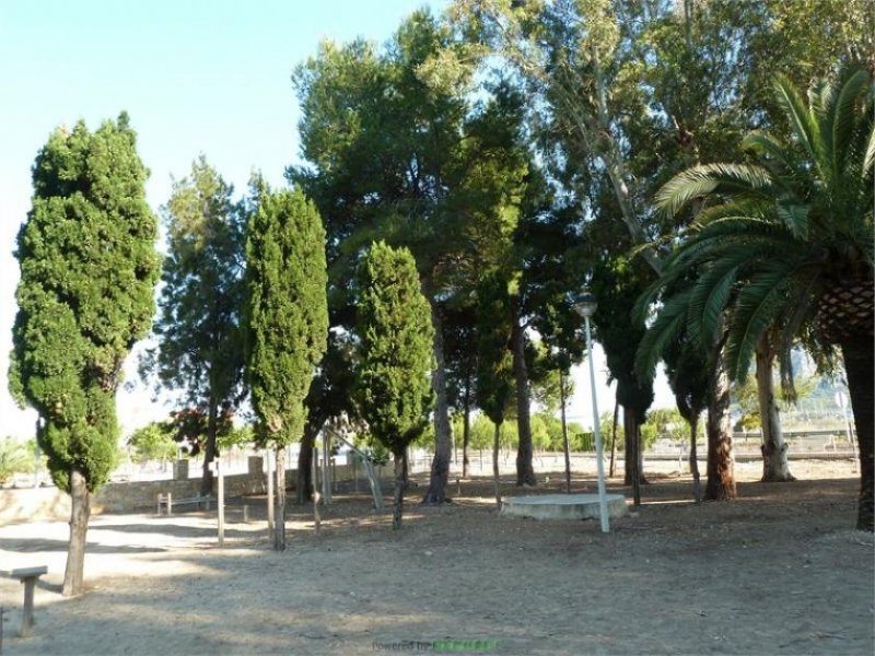 Denia Sehr schönes Apartment 400 m zum Sandstrand Wohnung kaufen