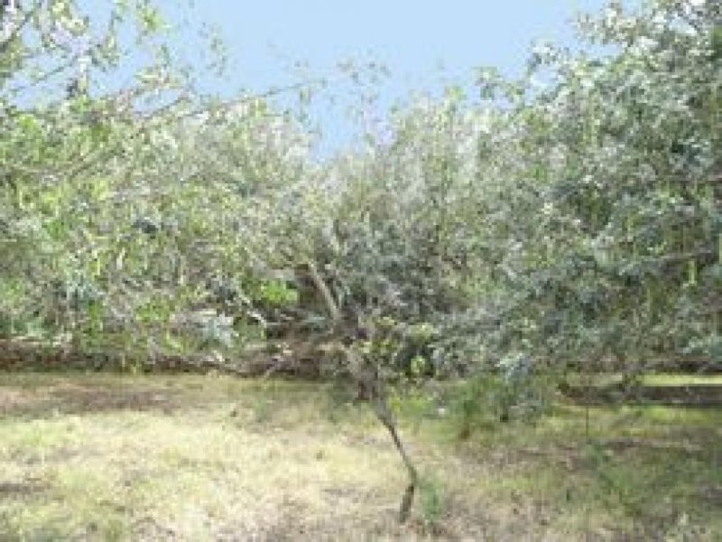 Denia Villen-Baugrundstück bei Denia zu verkaufen Grundstück kaufen