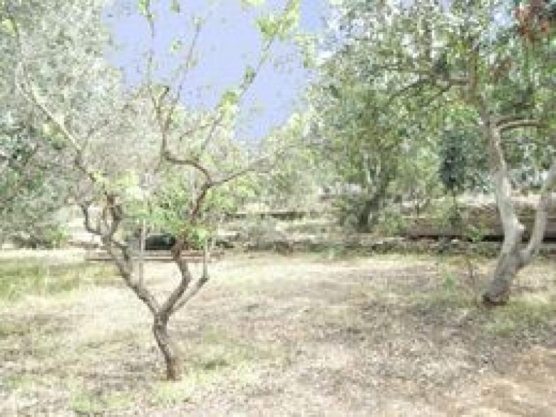 Denia Villen-Baugrundstück bei Denia zu verkaufen Grundstück kaufen