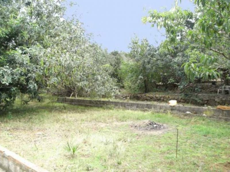 Denia Villen-Baugrundstück bei Denia zu verkaufen Grundstück kaufen