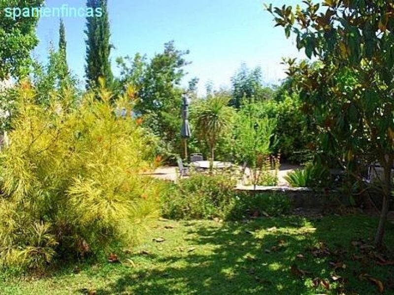 Moraira Pla del Mar spanienfincas - Moraira strandnahe 223qm Villa, 4 Schlafzimmer, Dachterrasse, 760qm Grundstück Haus kaufen