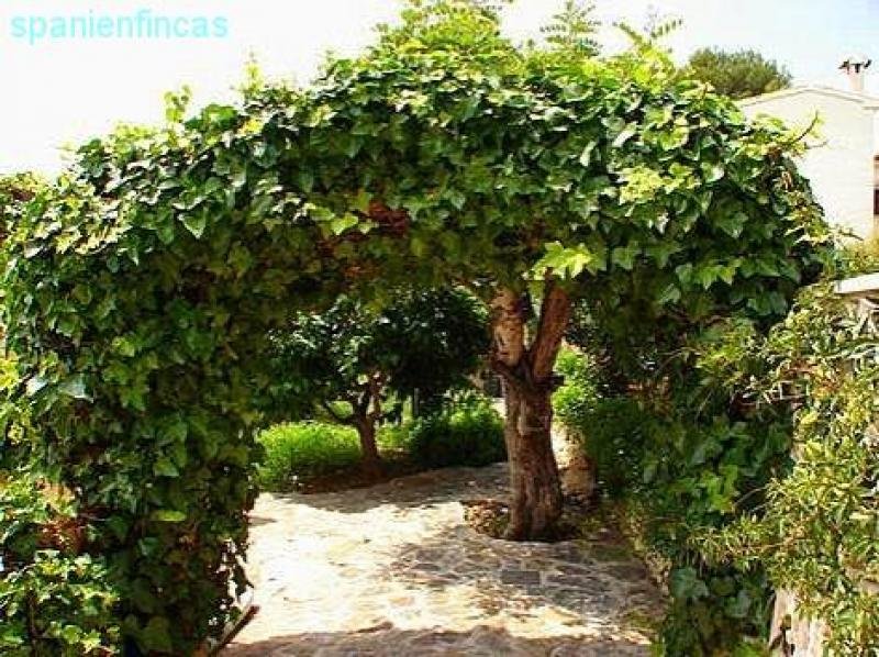 Moraira Sabatera spanienfincas - Moraira 227qm Villa, 6 SZ, 2 Appartements, Pool, 1.090qm Grundstück Haus kaufen