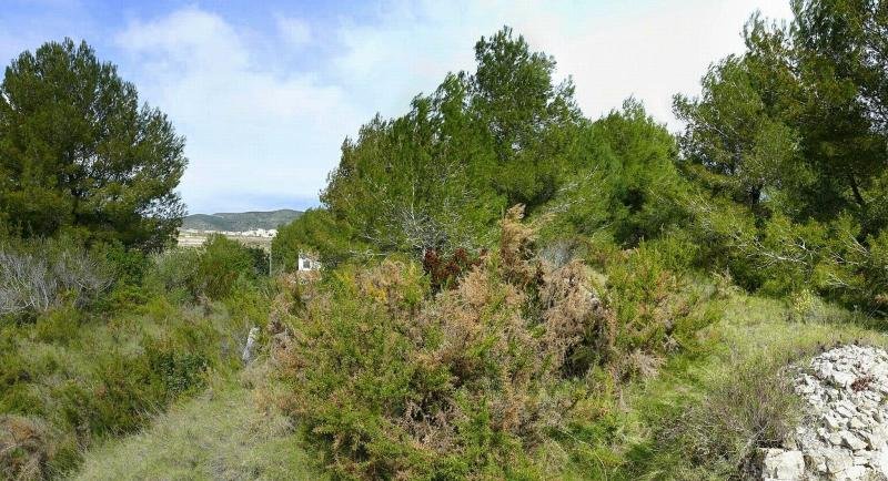 Moraira PROVISIONSFREI !!! Moraira 11.000qm Rusticogrundstück mit tollem Panorama- und Meerblick Grundstück kaufen