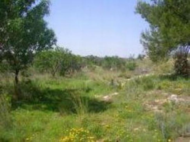 Teulada 71029C casa de CAMPO EN TEULADA Haus kaufen