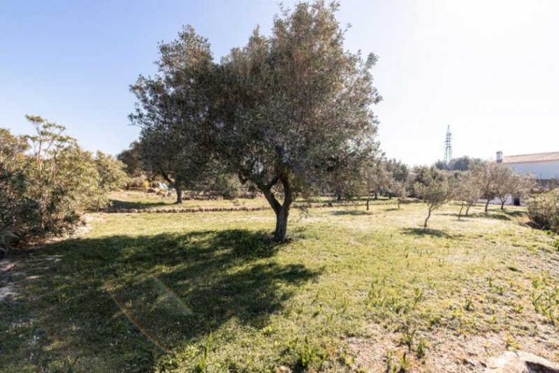 Teulada Charmantes Landhaus mit 3 Schlafzimmern, 3 Bädern, Privatpool und sehr schönem Ausblick Haus kaufen