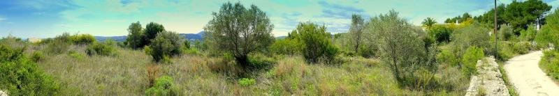 Jávea Montgó PROVISIONSFREI !!! Jávea 3.195qm Grundstück mit 360qm Villa und schönem Meerblick Grundstück kaufen