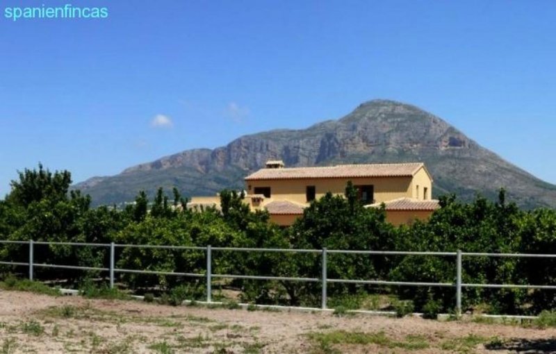 Jávea Xabia PFERDELIEBHABER neuwertige Finca, 14.270qm mit Schwimmbecken, Pferdestall, Reitplatz, tolle Campolage Haus kaufen