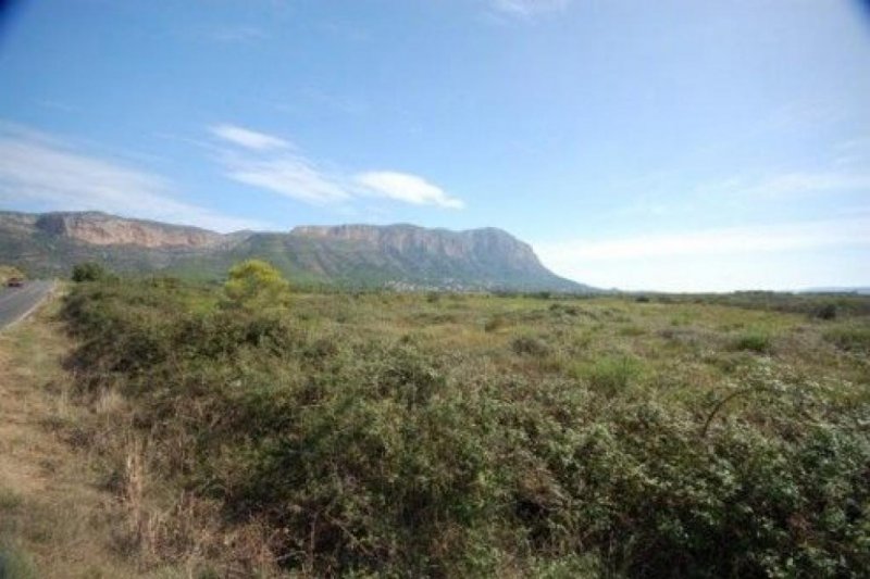 Jesus Pobre Südlage-Grundstück in Jesus Pobre zu verkaufen Grundstück kaufen