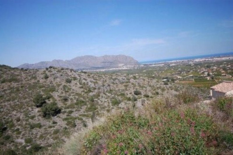 Pedreguer Grundstück zum verkauf Pedreguer Grundstück kaufen