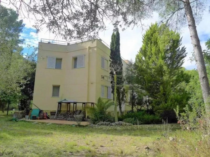 Pedreguer La Sella in Pedreguer Finca Villa kaufen - CHJU69-G Haus kaufen
