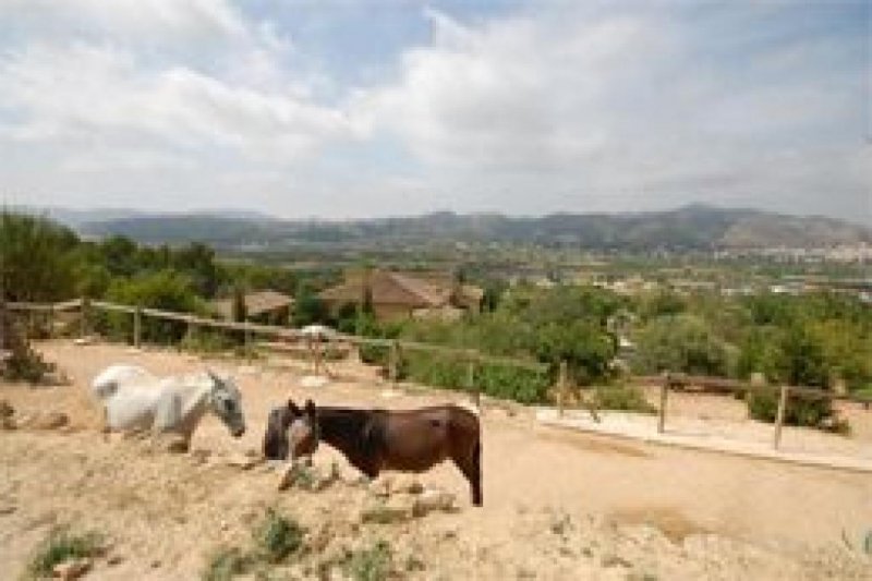 Pedreguer NEUBAU 2015 - 500qm Villa im Grünen bei Denia zu verkaufen Haus kaufen