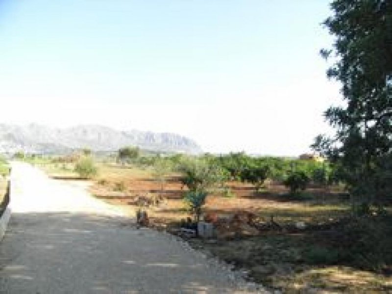 Benidoleig 10.693 qm FINCA-Land mit Meerblick zum verkauf Grundstück kaufen