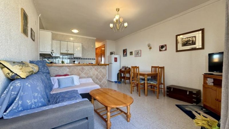 Els Poblets Appartement in erster Linie in Els Poblets Wohnung kaufen