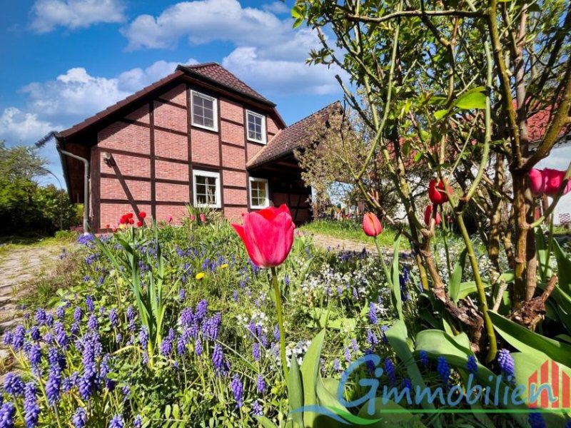 Großpösna Modernes Fachwerkhaus (Bj.1994) in Großpösna - Stilvolles Wohnen mit Wohlfühlcharakter Haus kaufen