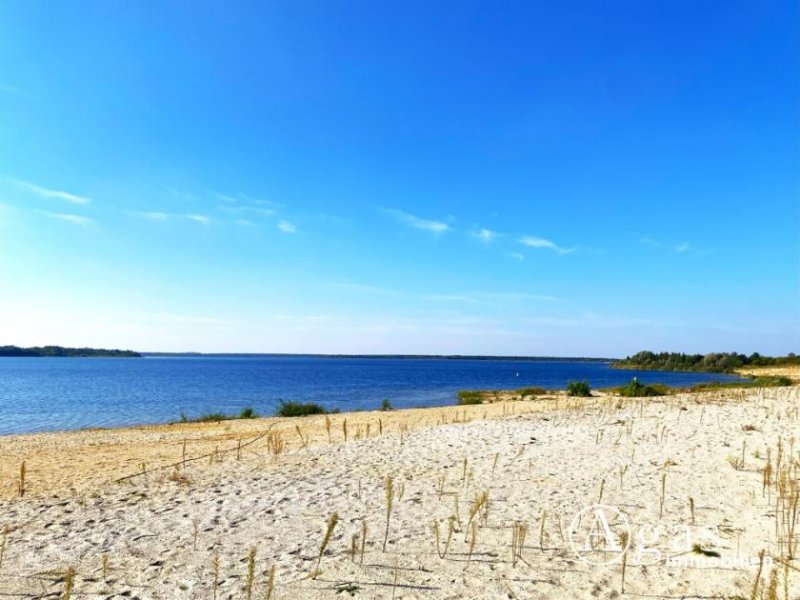 Löbnitz (Landkreis Nordsachsen) Modernes Einfamilienhaus mit Garage und großem Garten in Seenähe Haus kaufen