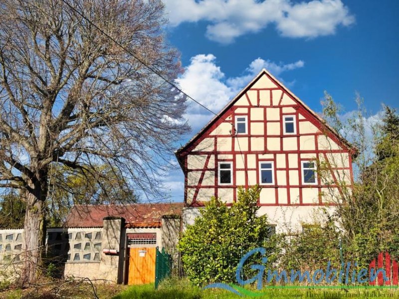 Borna Traumhaftes Fachwerkhaus mit großzügigem Hof - Wohnen und Leben auf 330 m² in idyllischer Seenähe Haus kaufen