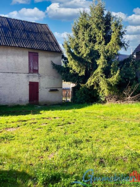 Borna Traumhaftes Fachwerkhaus mit großzügigem Hof - Wohnen und Leben auf 330 m² in idyllischer Seenähe Haus kaufen