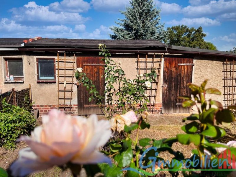 Frohburg Ihr neues Zuhause: Charmante Doppelhaushälfte in Elbisbach bei Bad Lausick/Frohburg Haus kaufen