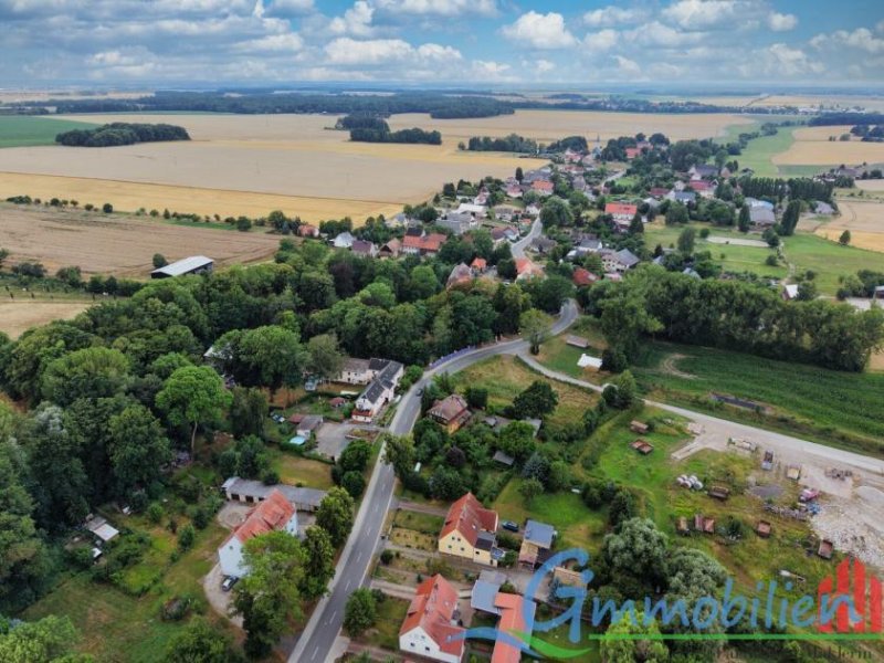 Frohburg Mit kleinem Budget, einem Anbau wie die Nachbarn und aus dieser kleinen DHH wird Ihr großes Traumhaus Haus kaufen
