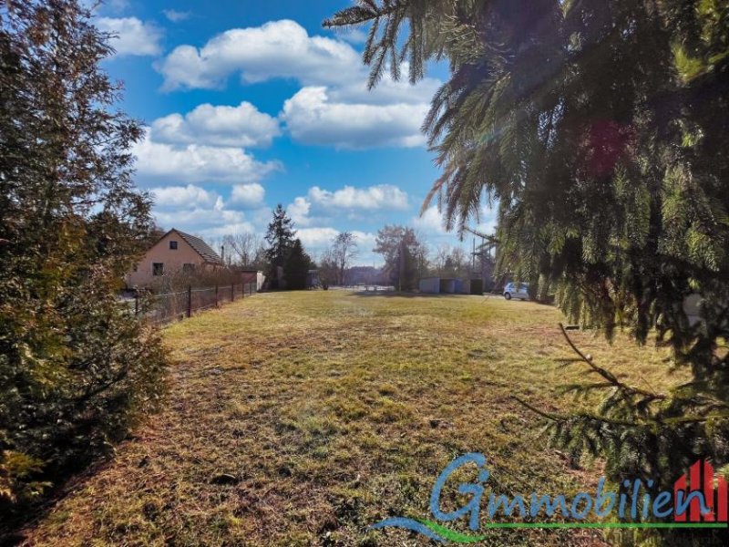 Grimma Traumhaus bauen mit zeitgleicher Vermietung oder sanieren Sie den Altbau zu Ihrem Traumhaus Haus kaufen