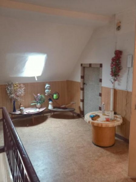 Waldheim ObjNr:B-19789 - Mehrgenerationenhaus möchte aus dem Dornröschenschlaf geholt werden Haus kaufen