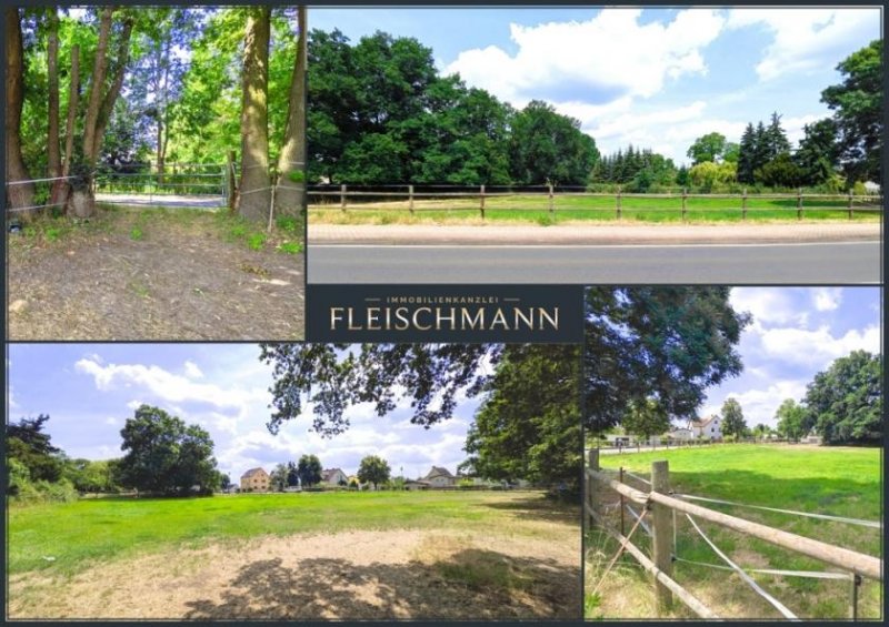 Doberschütz Baugrundstück für bis zu 5 Eigenheime – nur einen Katzensprung von Leipzig! Grundstück kaufen