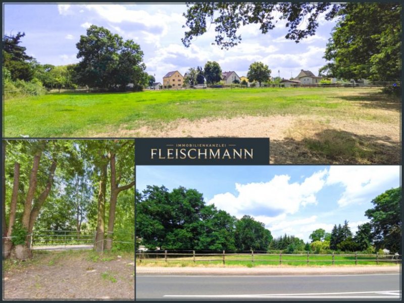 Doberschütz Baugrundstück für bis zu 5 Eigenheime in Mockrehna – nur einen Katzensprung nördlich von Leipzig! Grundstück kaufen