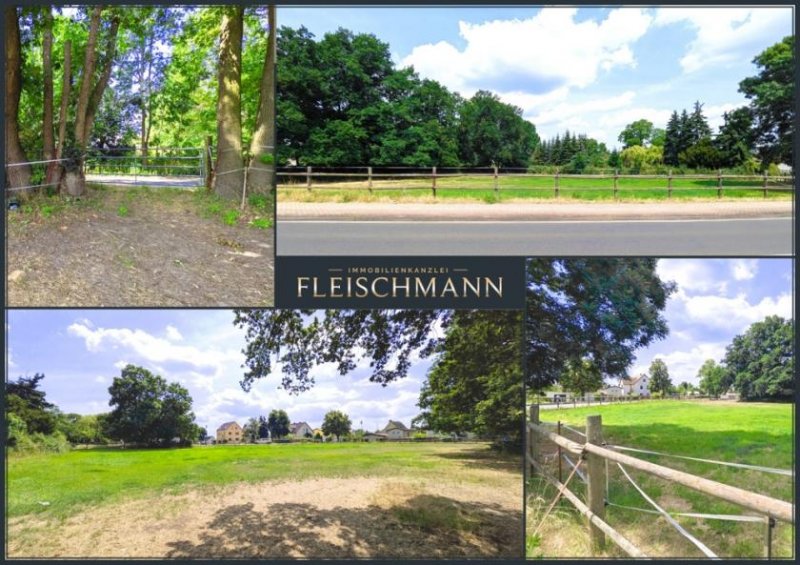 Doberschütz Baugrundstück für bis zu 5 Eigenheime in Mockrehna – nur einen Katzensprung nördlich von Leipzig! Grundstück kaufen