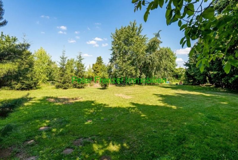 Schildau (Gneisenaustadt) massiver Bungalow - Wintergarten - ganzjähriges Wohnen - auf 2.930 m² Haus kaufen