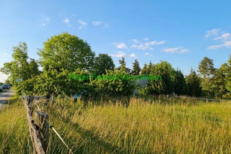 Schildau (Gneisenaustadt) massiver Bungalow - Wintergarten - ganzjähriges Wohnen - auf 2.930 m² Haus kaufen