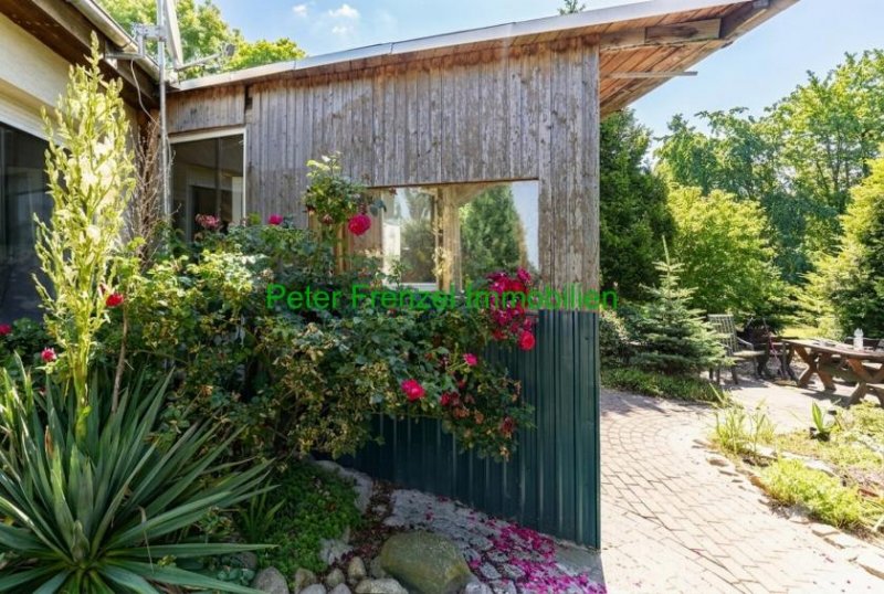 Schildau (Gneisenaustadt) massiver Bungalow - Wochenendgrundstück - 2.930 m² - gute Ausstattung Haus kaufen