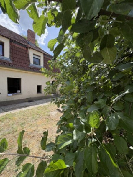 Herzberg (Elster) Wohnen auf dem Dorf ... Haus kaufen