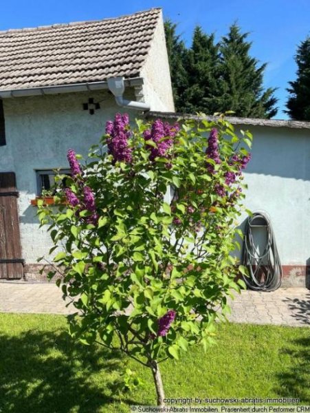 Schönewalde *** Gepflegtes Haus -barrierefrei- am Ortsrand mit Fernblick, Stall und Garage *** Haus kaufen