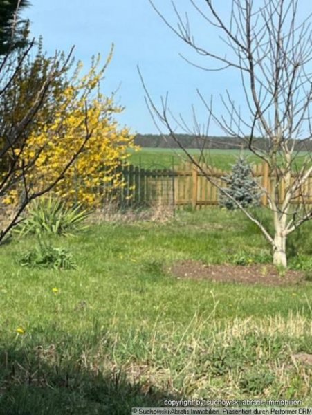 Schönewalde *** Gepflegtes Haus -barrierefrei- am Ortsrand mit Fernblick, Stall und Garage *** Haus kaufen