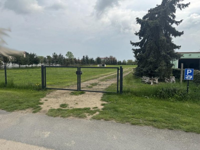 Mühlberg (Landkreis Elbe-Elster) Modernes Design trifft alten Charme Haus kaufen