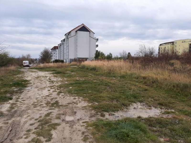 Halle (Saale) Baugrundstück für den Geschoßwohnungsbau n+++ 8.000 qm BGF+++++ Grundstück kaufen