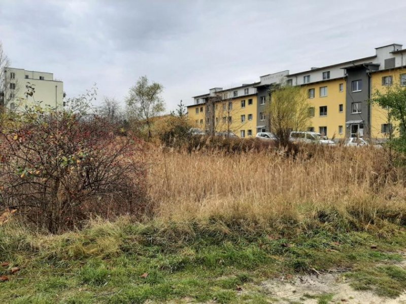 Halle (Saale) Wohnbaugrundstück für den Geschoßwohnungsbau +++ sofort bebaubar +++ nach B-Plan Grundstück kaufen