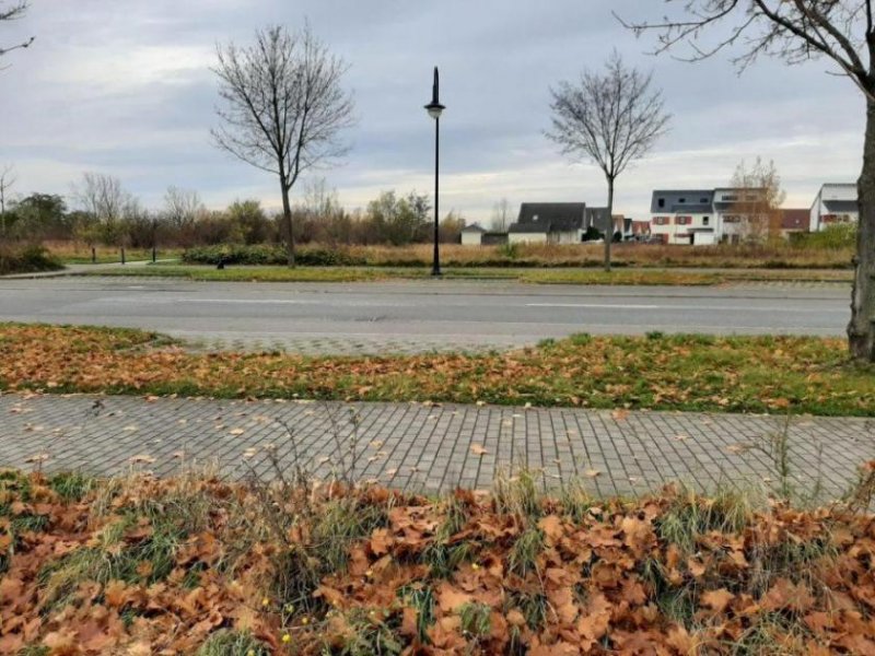 Halle (Saale) Wohngrundstück für den Geschoßwohnungsbau - zu verkaufen Grundstück kaufen