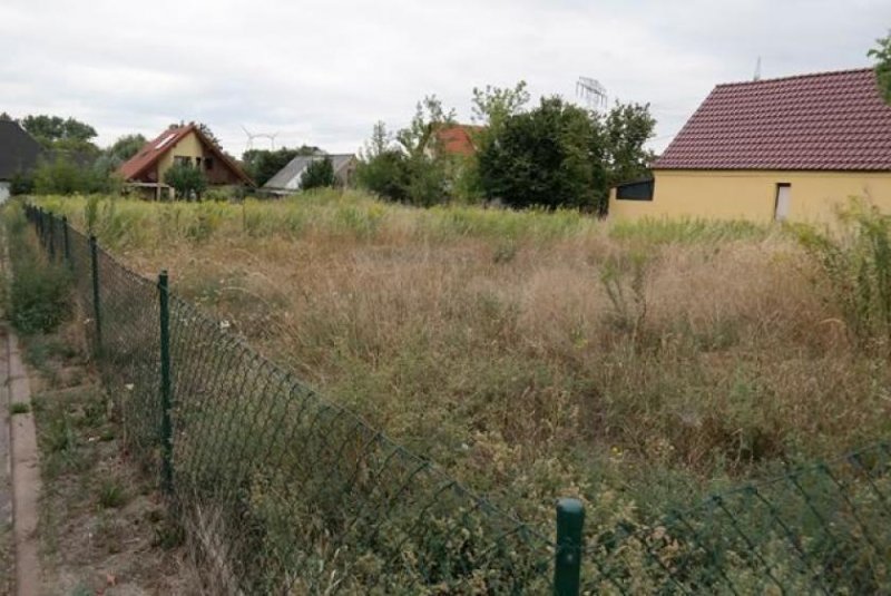 Frankleben Voll erschlossenes Baugrundstück in ruhiger Lage... 5 min zum See Grundstück kaufen