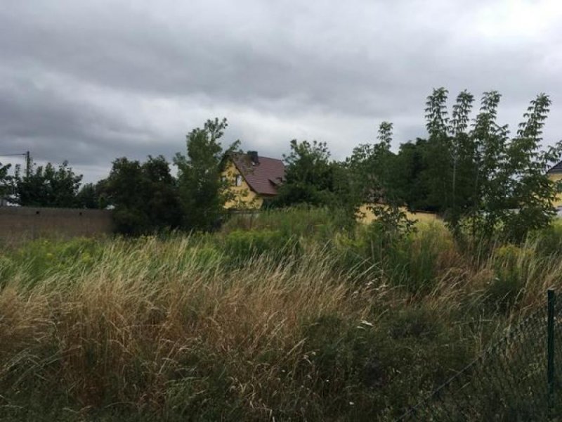 Frankleben Voll erschlossenes Baugrundstück in ruhiger Lage... 5 min zum See Grundstück kaufen