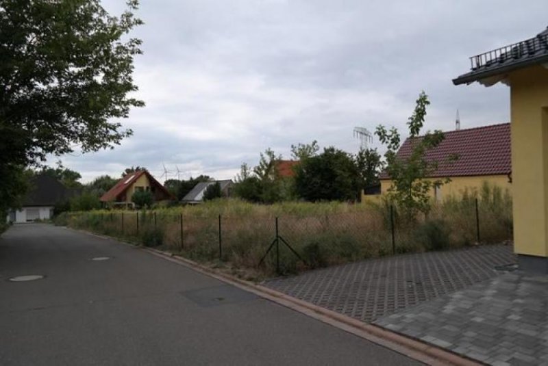 Frankleben Voll erschlossenes Baugrundstück in ruhiger Lage... 5 min zum See Grundstück kaufen