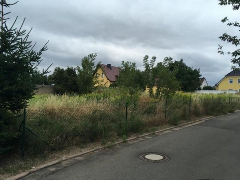 Frankleben Voll erschlossenes Baugrundstück in ruhiger Lage... 5 min zum See Grundstück kaufen