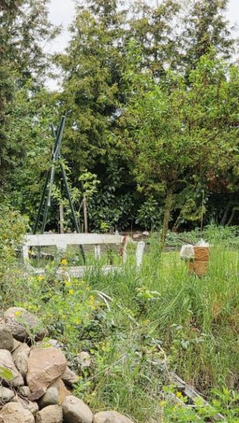 Riesdorf Einfamilienhaus im Grünen - sanierungsbedürftig, aber lohnenswert Haus kaufen