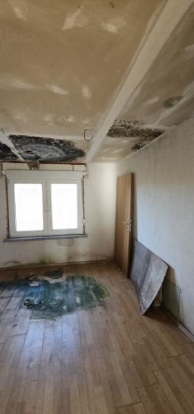 Aken (Elbe) Attraktives Baugrundstück in Aken (Elbe) Grundstück kaufen