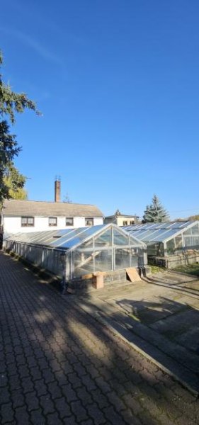 Aken (Elbe) Ihr neues Projekt wartet mitten in Aken mit großem Grundstück mit Einfamilienhaus Haus kaufen