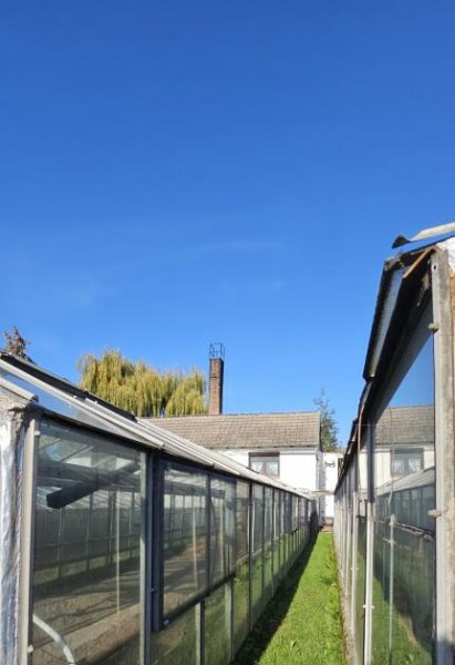 Aken (Elbe) Ihr neues Projekt wartet mitten in Aken mit großem Grundstück mit Einfamilienhaus Haus kaufen