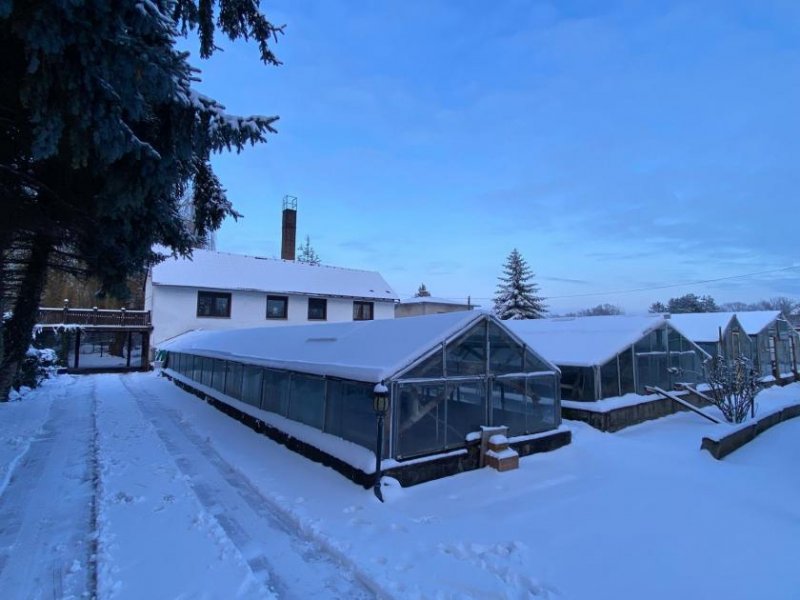 Aken (Elbe) Ihr neues Projekt wartet mitten in Aken mit großem Grundstück mit Einfamilienhaus Haus kaufen
