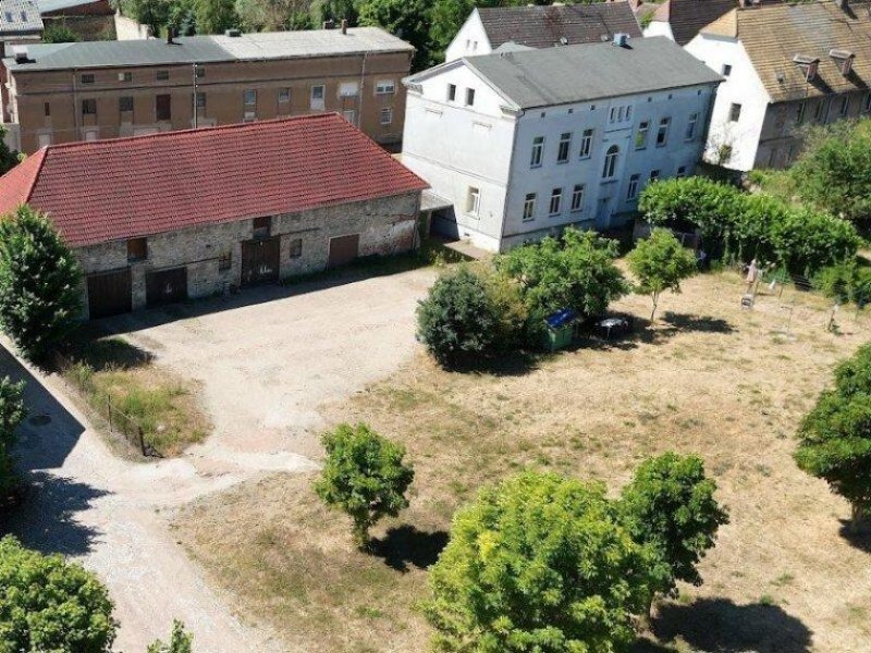 Osternienburg OHNE BANK! Gutshof-Ensemble mit MFH, Gutshaus , Scheunentrakt, Info auf www.gutshof-kpl.de Haus kaufen